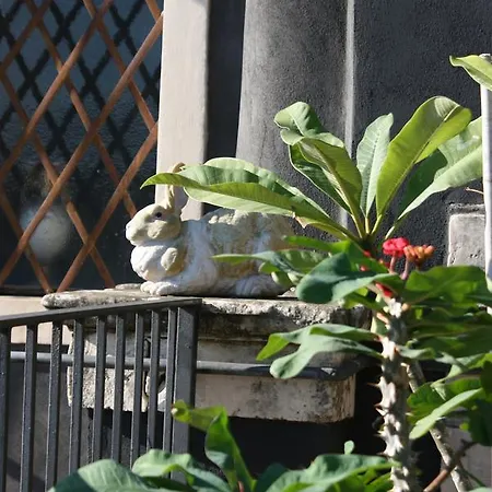 La Petite Maison Bed & Breakfast *